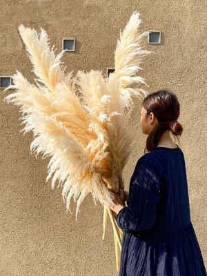 140 cm Ekstra Stor Pampasgress – Fluffy Naturlig Tørket Blomst, Høy Dekor for Boho Hjem og Vintage Bryllup