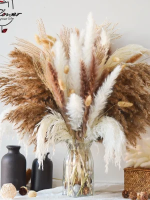 120 stk Tørkede Pampas & Bunny Tails – Naturlig Bukett til Vase og Dekor