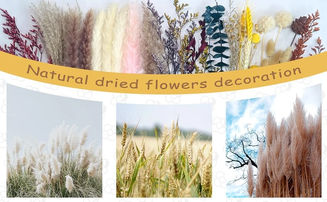 84 stk Fluffy Pampas – Naturlige Tørkede Blomster & Eucalyptus Bukett