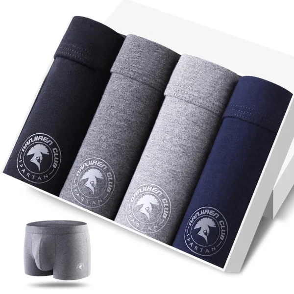 4pcs Men's Panties Sexy Shorts Cotton Underwear